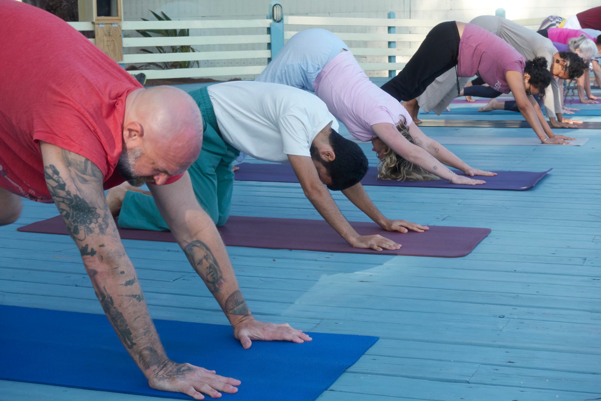 TTC_Sivananda_2026_March28_0643 - Cópia - Cópia (2)